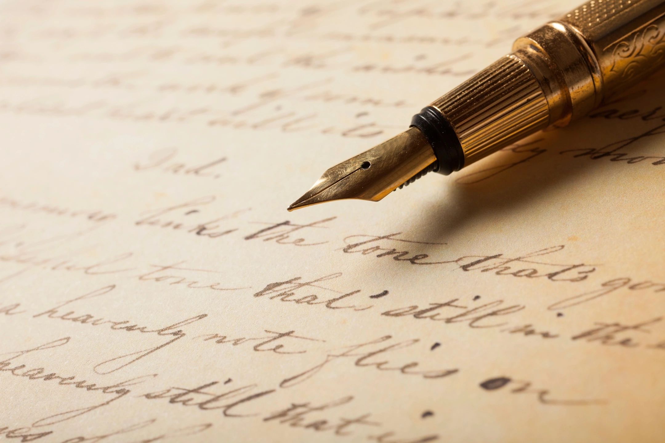 gazal-banner